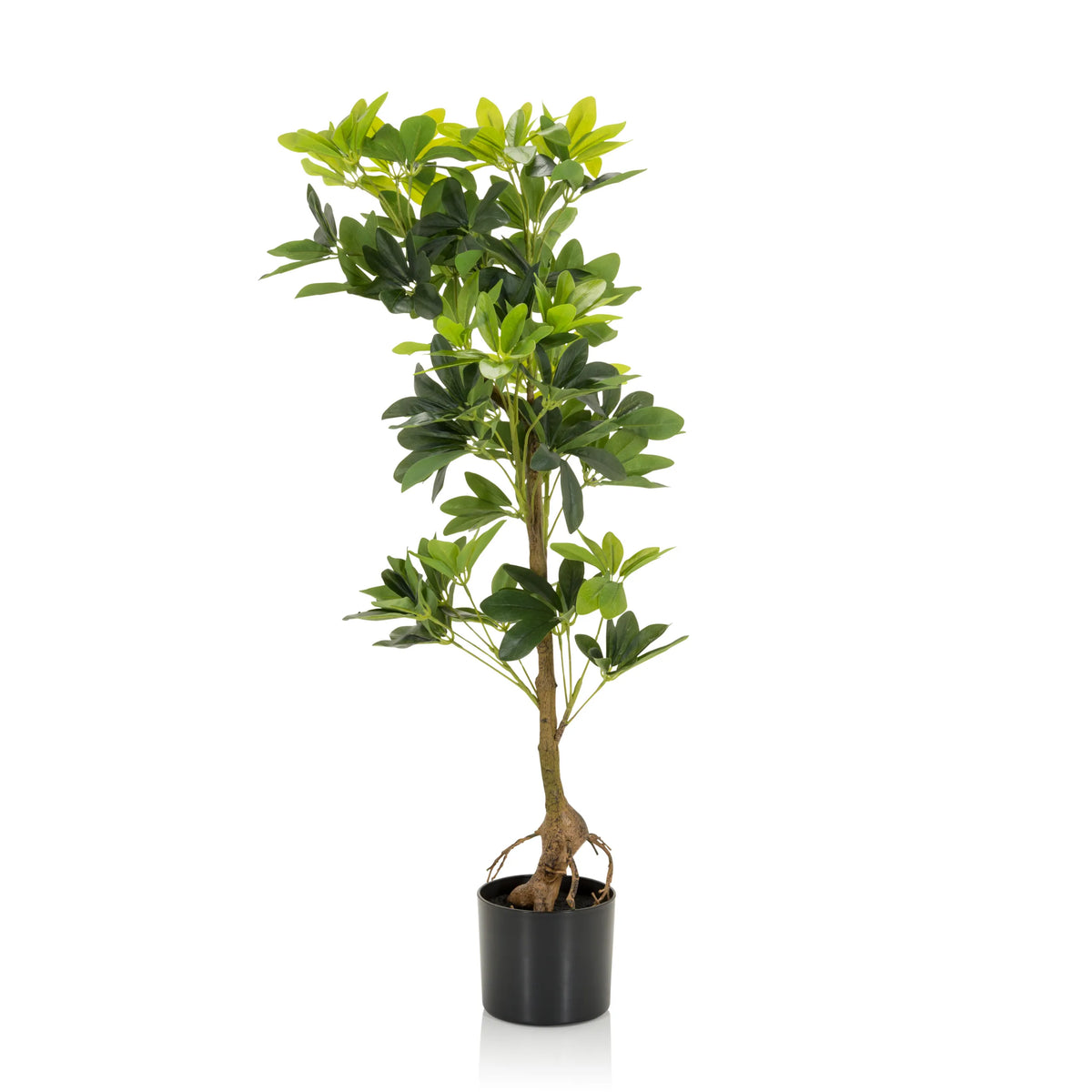 Green Artificial plant SCHEFFLERA with branched stems in a black pot by hjh OFFICE – 360-degree view (front view 0°)