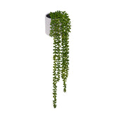 Artificial hanging plant Senecio Climb with green leaves in a white pot by hjh OFFICE