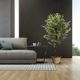 Artificial plant FICUS in green in a woven basket by hjh OFFICE