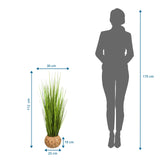 Dimensional drawing of the Artificial plant CORTADERIA with a height of 112 cm and width of 30 cm by hjh OFFICE