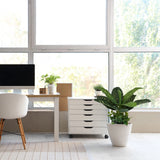 Green Artificial plant DIEFFENBACHIA in a white pot in front of a bright window by hjh OFFICE