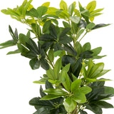 Green leaves of the artificial plant SCHEFFLERA by hjh OFFICE
