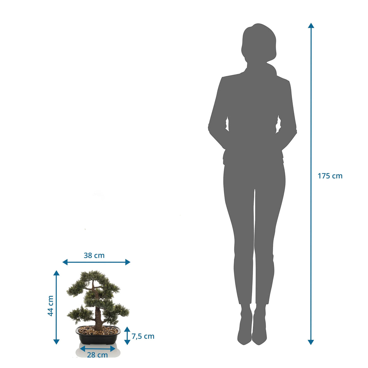 Dimensional view of the Artificial plant BONSAI with a height of 44 cm compared to a person by hjh OFFICE