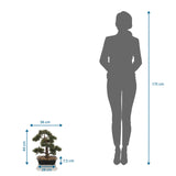 Dimensional view of the Artificial plant BONSAI with a height of 44 cm compared to a person by hjh OFFICE