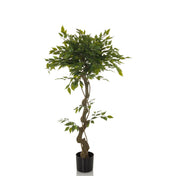 Grüne Kunstpflanze FICUS I mit gewundenem Stamm in einem schwarzen Topf von hjh OFFICE