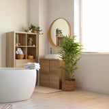 Green artificial plant BAMBUS II in a woven basket next to a bathroom washbasin by hjh OFFICE