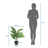 Dimensional drawing of the Artificial plant ARECA with a height of 70 cm and width of 60 cm by hjh OFFICE