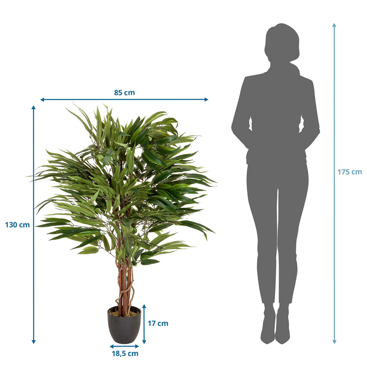 Dimensional drawing of the Artificial plant MANGO with a height of 130 cm and width of 85 cm by hjh OFFICE