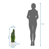 Dimensional view of the Artificial plant SANSEVIERIA with a height of 65 cm next to a person silhouette by hjh OFFICE