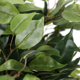 Green leaves of the artificial plant FICUS II by hjh OFFICE