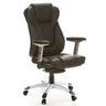 Black Professional Executive Chair EMBASSY 200 L with leather upholstery, armrests and silver base by hjh OFFICE