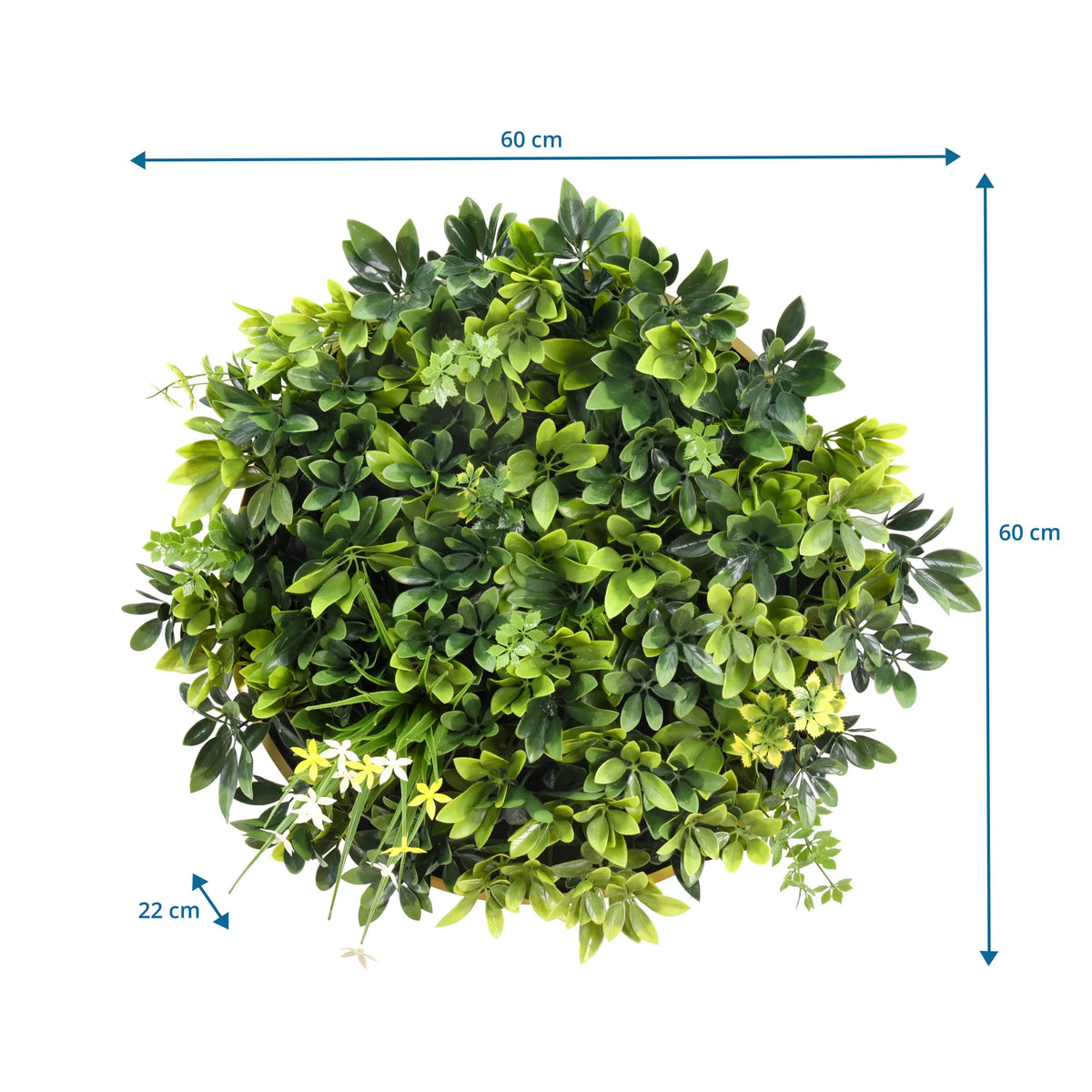 Dimensional drawing of the Plant mat LEAFLUXE WALL 2 with 60 × 60 cm and a depth of 22 cm by hjh LIVING