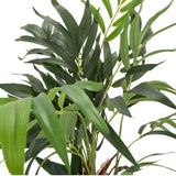 Green leaves of the artificial plant CHAMAEDOREA by hjh OFFICE