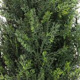 Green needle branches of the artificial plant CEDRUS by hjh OFFICE