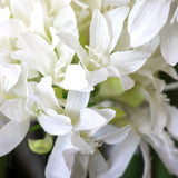 White blossoms of the artificial plant AGAPANTHUS by hjh OFFICE