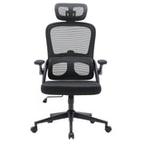 MC102C-M101 | Sihoo - Professional Office Chair 
