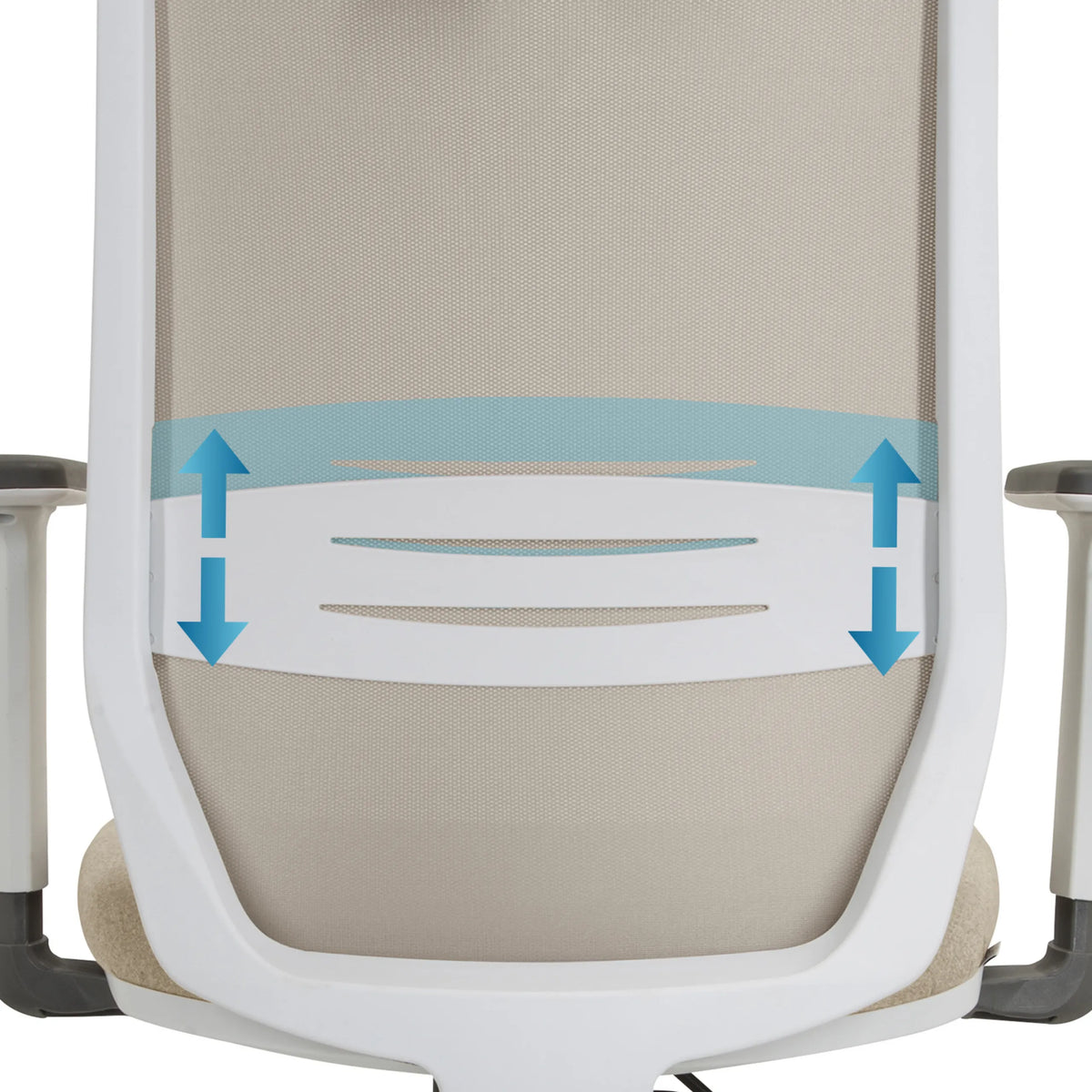 Height-adjustable lumbar support of the Professional Office Chair PROFONDO PRO W by hjh OFFICE