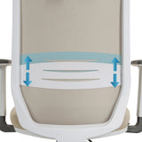 Height-adjustable lumbar support of the Professional Office Chair PROFONDO PRO W by hjh OFFICE