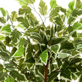 Green and white variegated leaves of the Artificial plant FICUS by hjh OFFICE