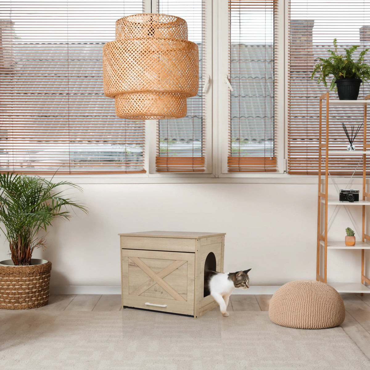 Cat house KITTY PAWBOX 1 in oak look with circular entrance and front decoration by hjh LIVING