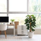 Artificial plant EPIPREMNUM in green with a white pot in a bright room by hjh OFFICE