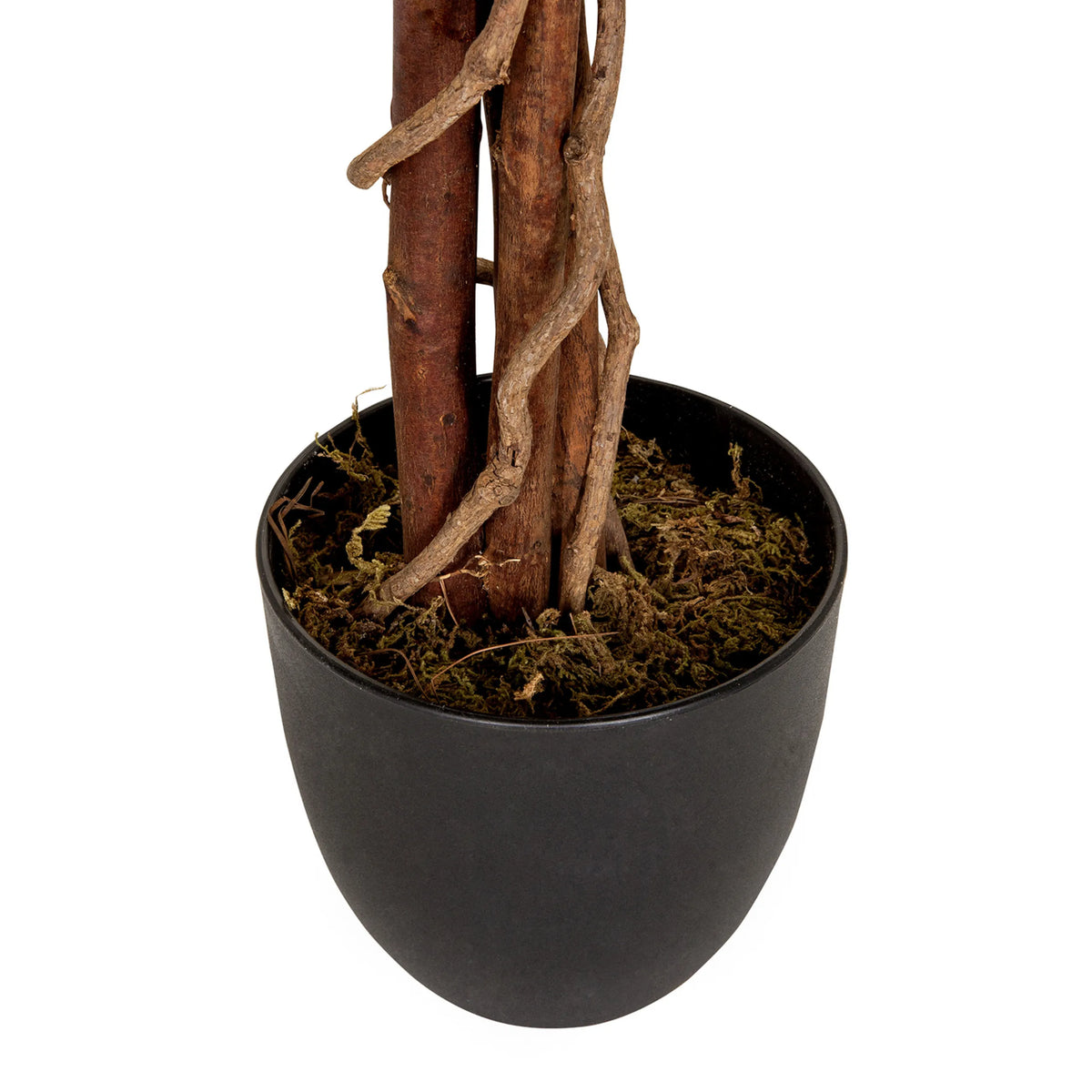 Trunk and black plant pot with moss cover of the artificial plant MANGO by hjh OFFICE