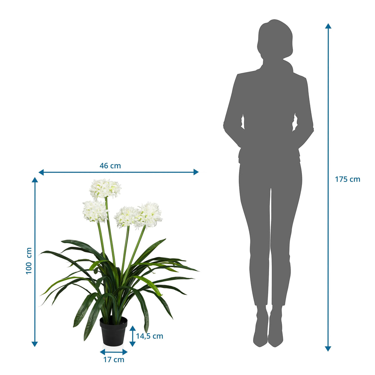 Dimensional drawing of the Artificial plant AGAPANTHUS with a height of 100 cm and width of 46 cm by hjh OFFICE