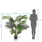 Dimensional drawing of the Artificial plant ARECA II with a height of 150 cm and width of 64 cm by hjh OFFICE