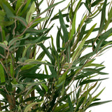 Green leaves of the Artificial plant BAMBUS by hjh OFFICE