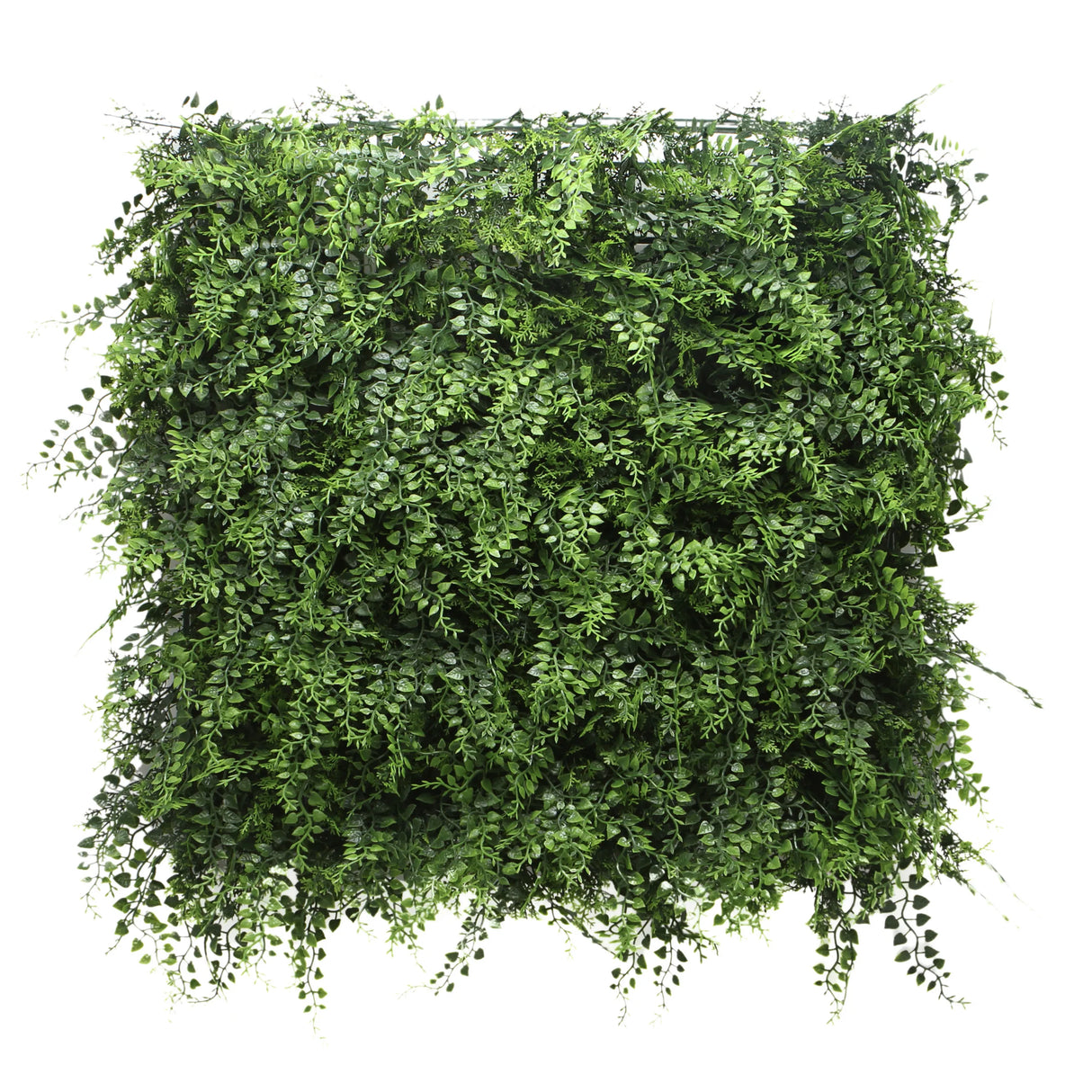 LEAFLUXE 2 - Plant mat 