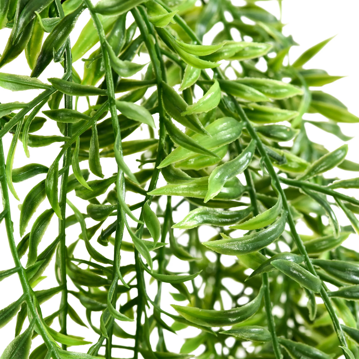 Green leaves of the Filix artificial plant by hjh OFFICE