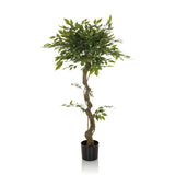 Green Artificial plant FICUS I with braided stem in a black pot by hjh OFFICE – 360-degree view (side profile 90°)