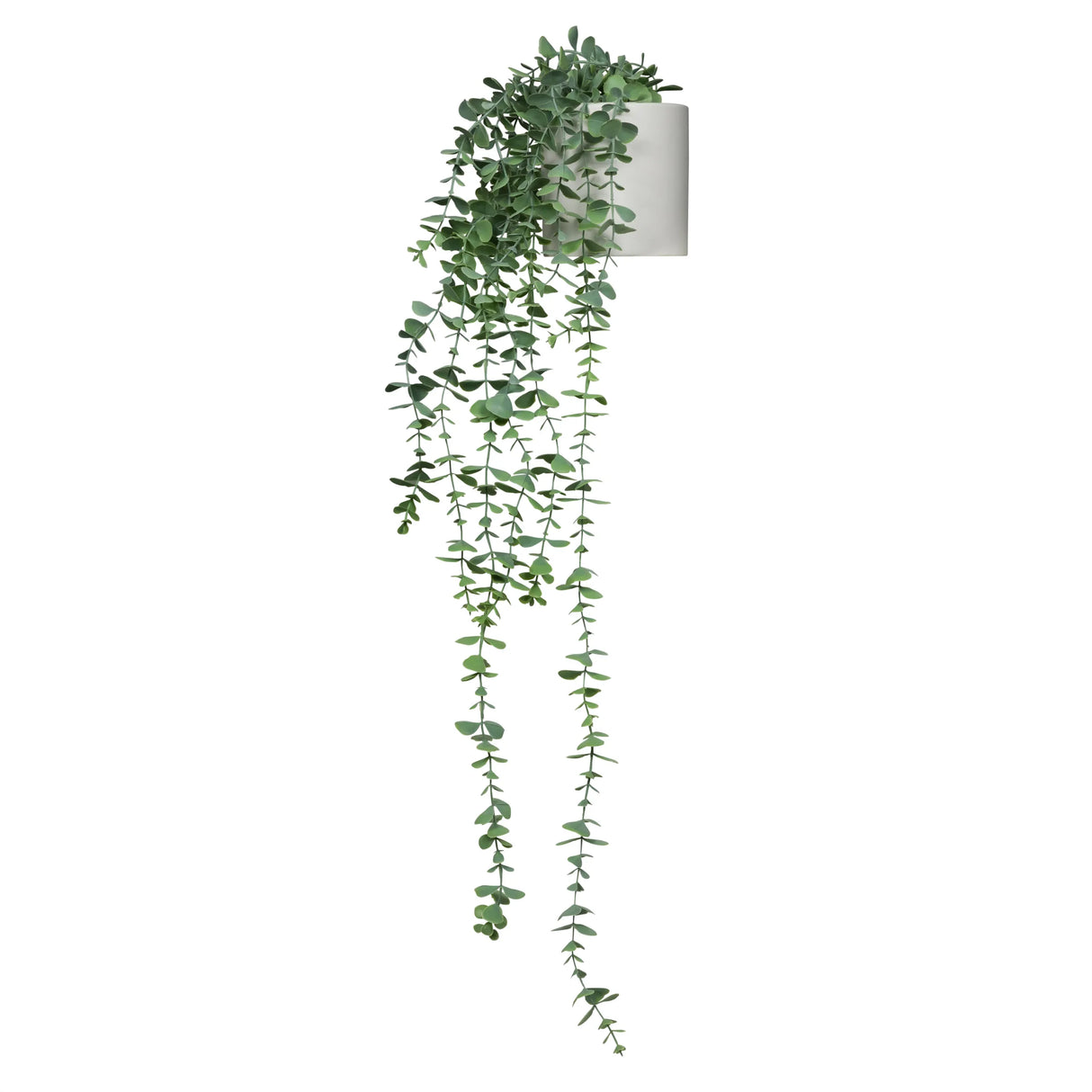 EUCALYPTUS CLIMB - Artificial plant 
