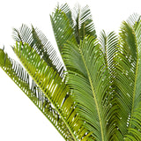Green leaves of the Artificial plant CYCAS by hjh OFFICE