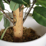 Stem and leaves of the artificial plant FICUS II in a white pot by hjh OFFICE