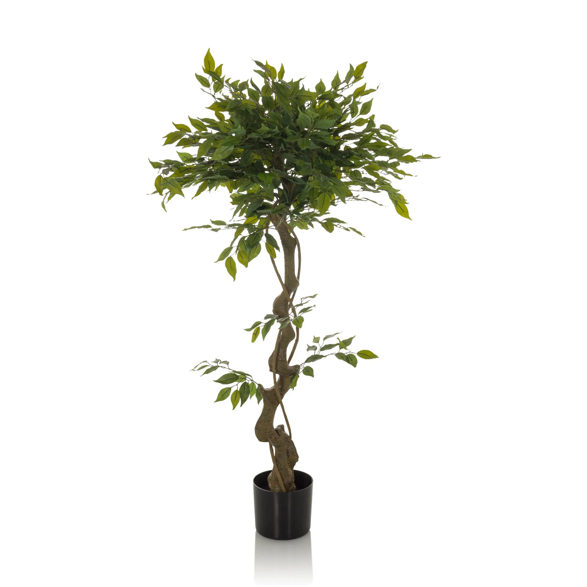 Green Artificial plant FICUS I with braided stem in a black pot by hjh OFFICE – 360-degree view (front view 0°)