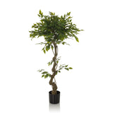 Green Artificial plant FICUS I with braided stem in a black pot by hjh OFFICE – 360-degree view (front view 0°)
