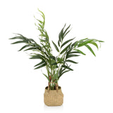 Green Artificial plant CHAMAEDOREA in a woven natural material pot by hjh OFFICE – 360-degree view (side profile 90°)