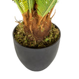 Trunk and black outer pot of the Artificial plant CYCAS by hjh OFFICE