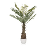 Green Artificial plant DRACAENA in the form of a palm tree with a white pot by hjh OFFICE – 360-degree view (side profile 90°)