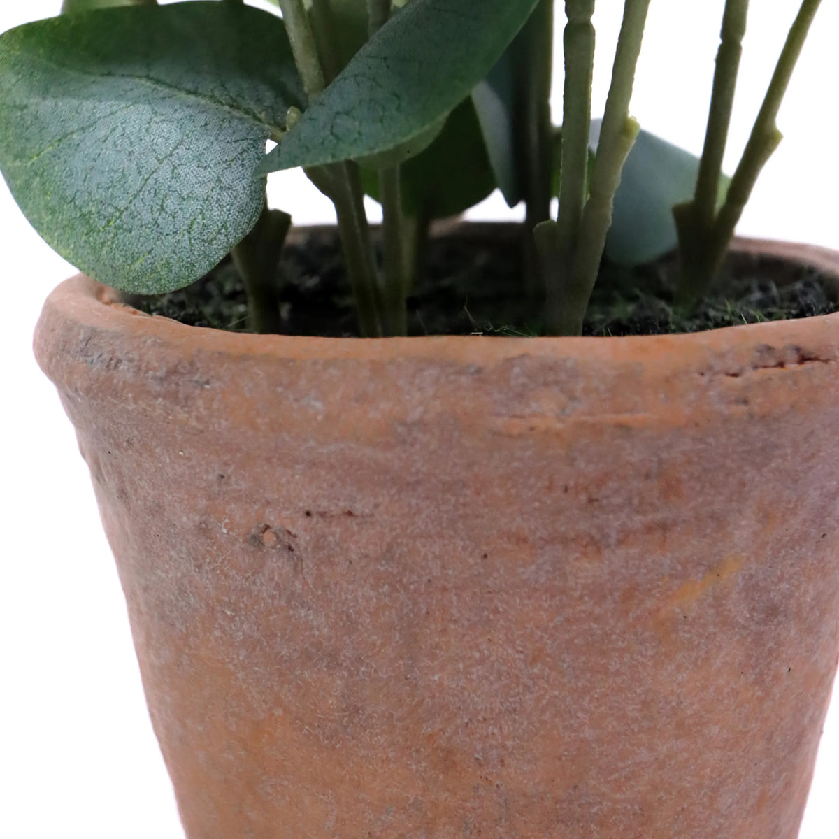 Terracotta pot of the Eucalyptus artificial plant with green leaves by hjh OFFICE