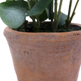Terracotta pot of the Eucalyptus artificial plant with green leaves by hjh OFFICE