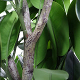 Stem and green leaves of the Artificial plant Garcinia by hjh OFFICE