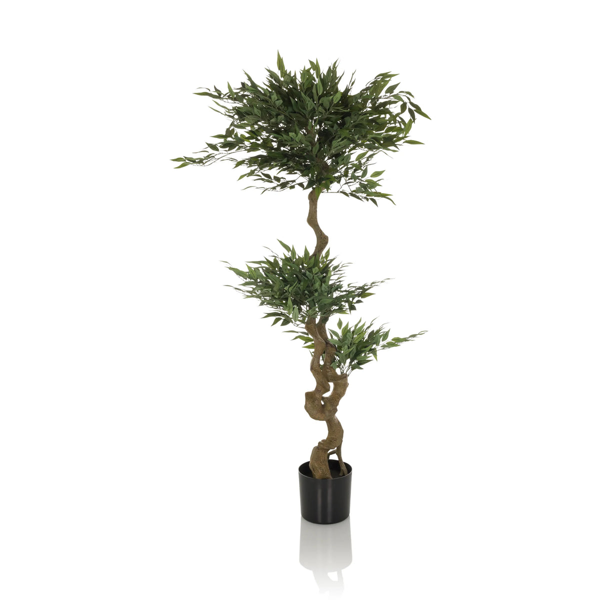 Green Artificial plant ACACIA with twisted stem in a black pot by hjh OFFICE – 360-degree view (front view 0°)