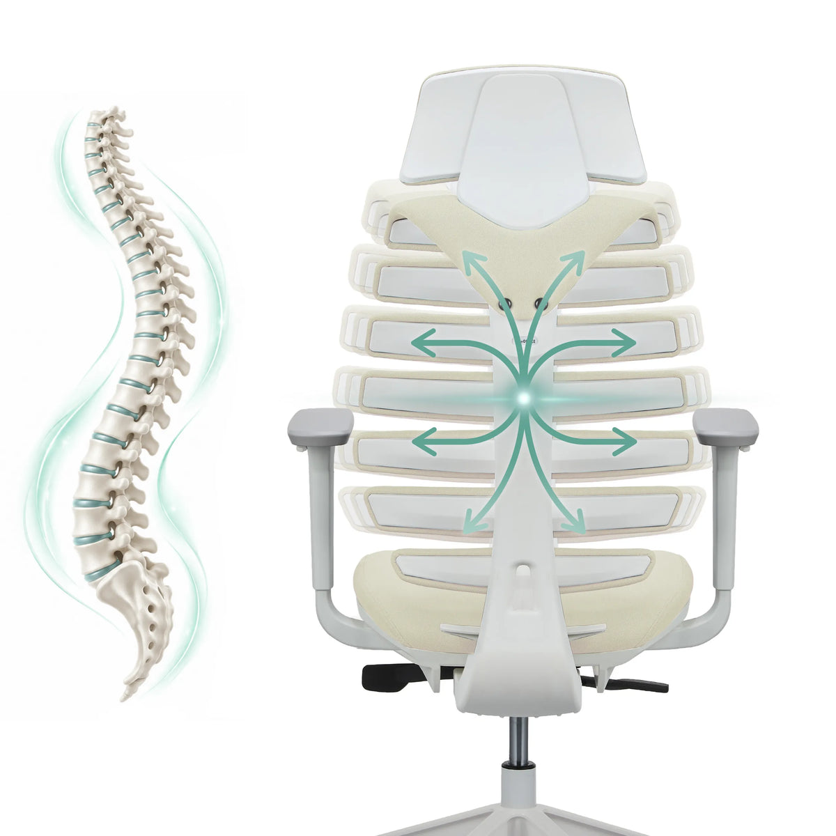 Backrest of the ERGO LINE W Professional Office Chair with a schematic representation of the spine by hjh OFFICE