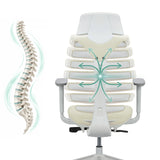 Backrest of the ERGO LINE W Professional Office Chair with a schematic representation of the spine by hjh OFFICE