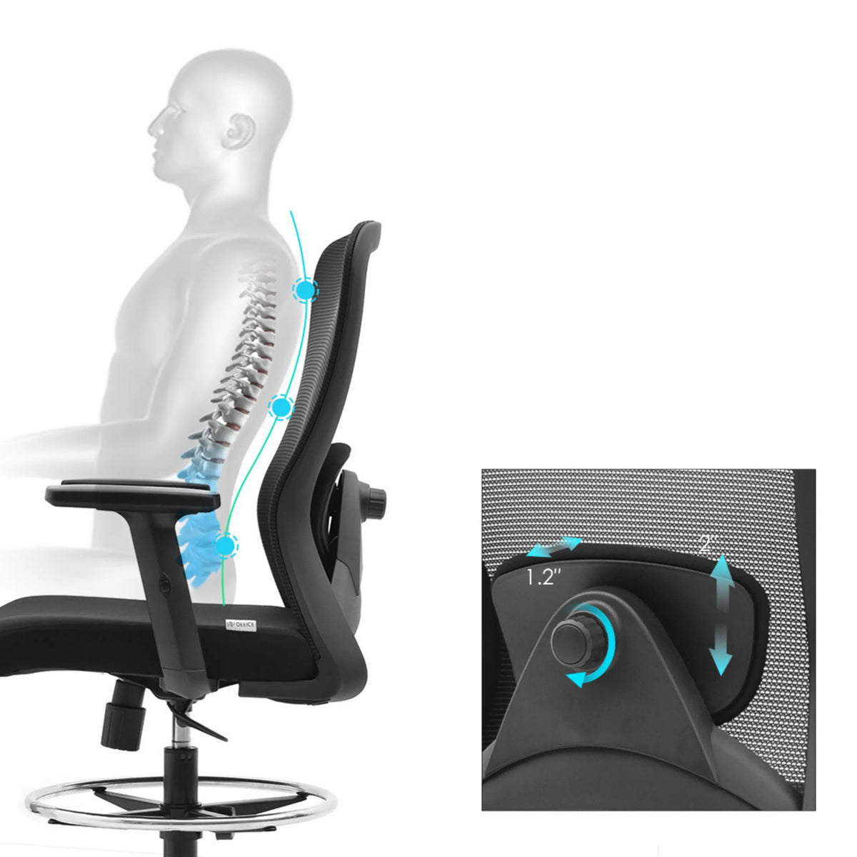 Height-adjustable lumbar support of the Top Work 44 Work Chair with an adjustment range of 1.2" by hjh OFFICE