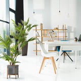 Green artificial plant ARECA I in a grey pot on a wooden stand by hjh OFFICE