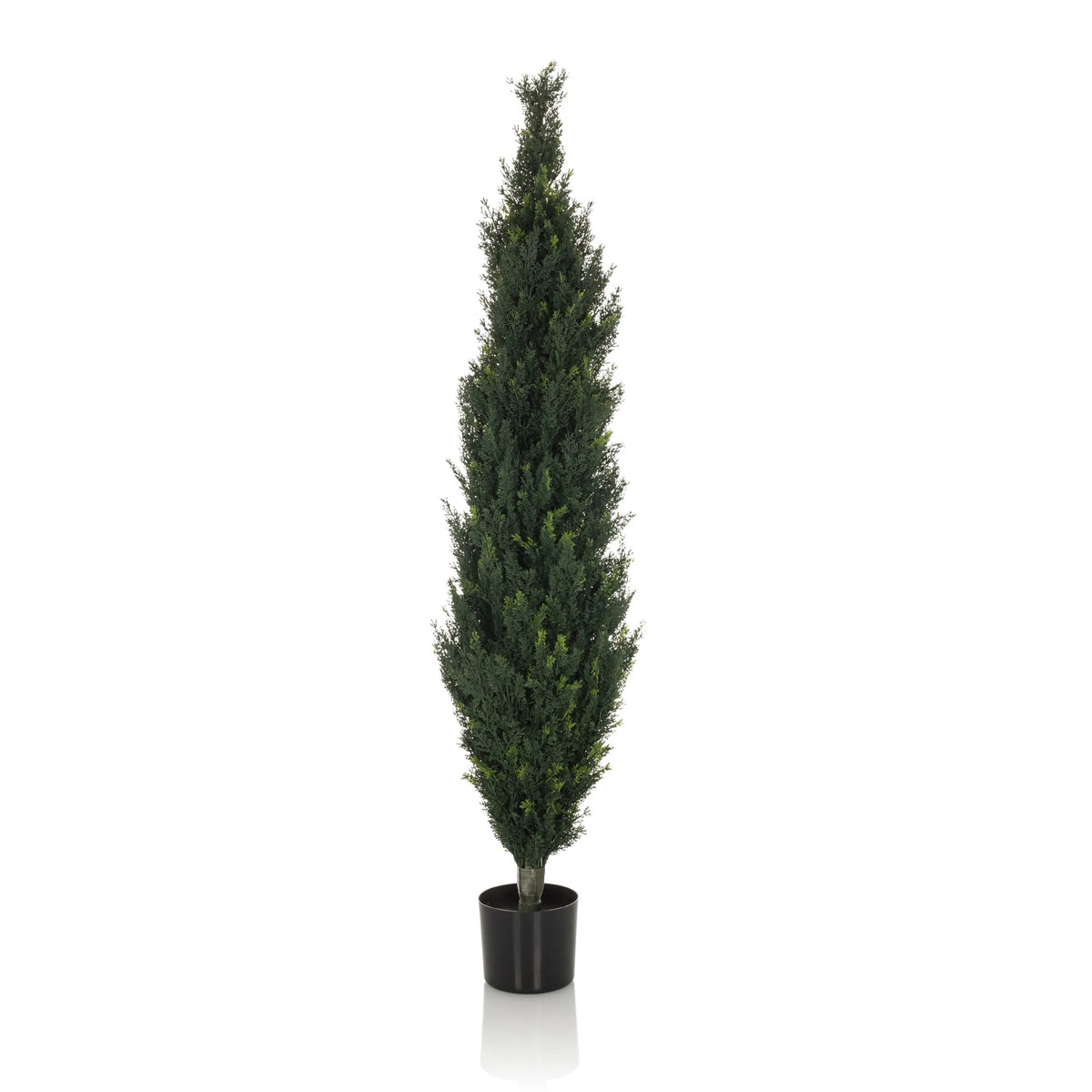 Green Artificial plant CEDRUS in the form of a tall cypress with a black plant pot by hjh OFFICE – 360-degree view (front view 0°)