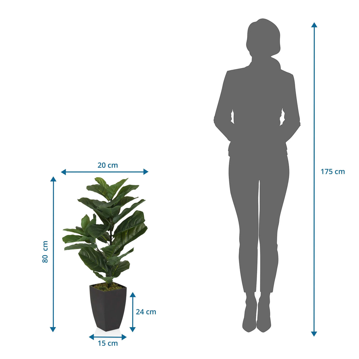 Dimensional drawing of the Artificial plant LYRATA with a height of 80 cm by hjh OFFICE